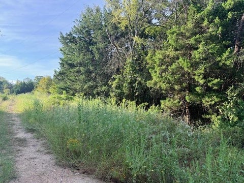 Photo of TBD River Dr, Coldspring, TX 77331 (MLS # 83734746)