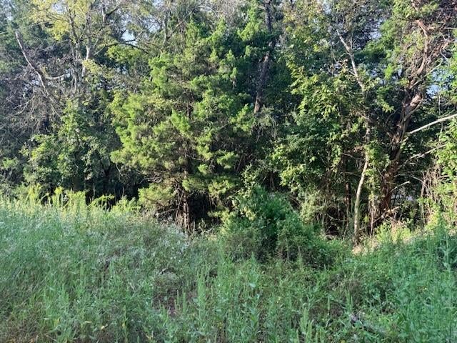 TBD River Dr