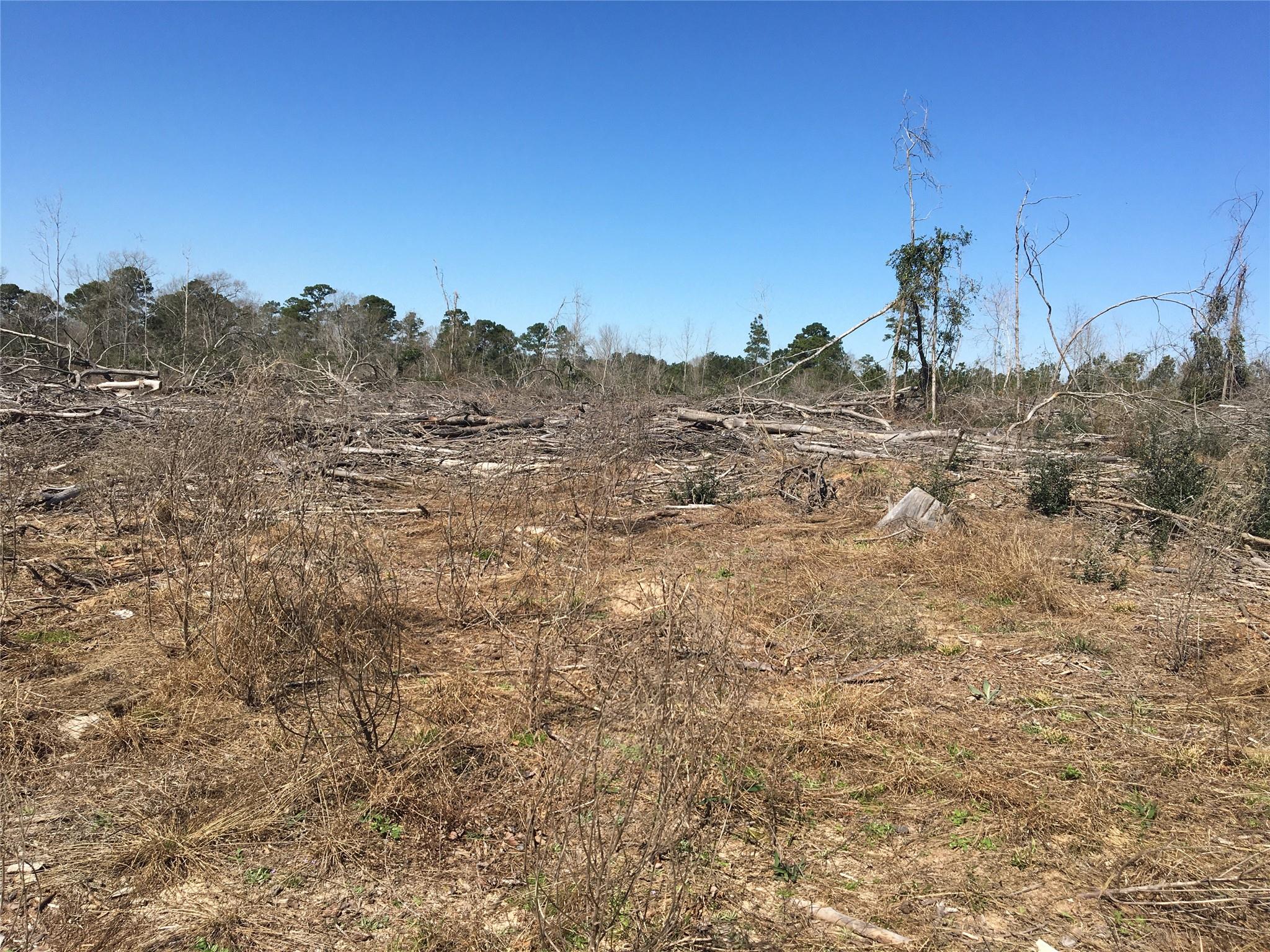 Lot 15 County Road 175