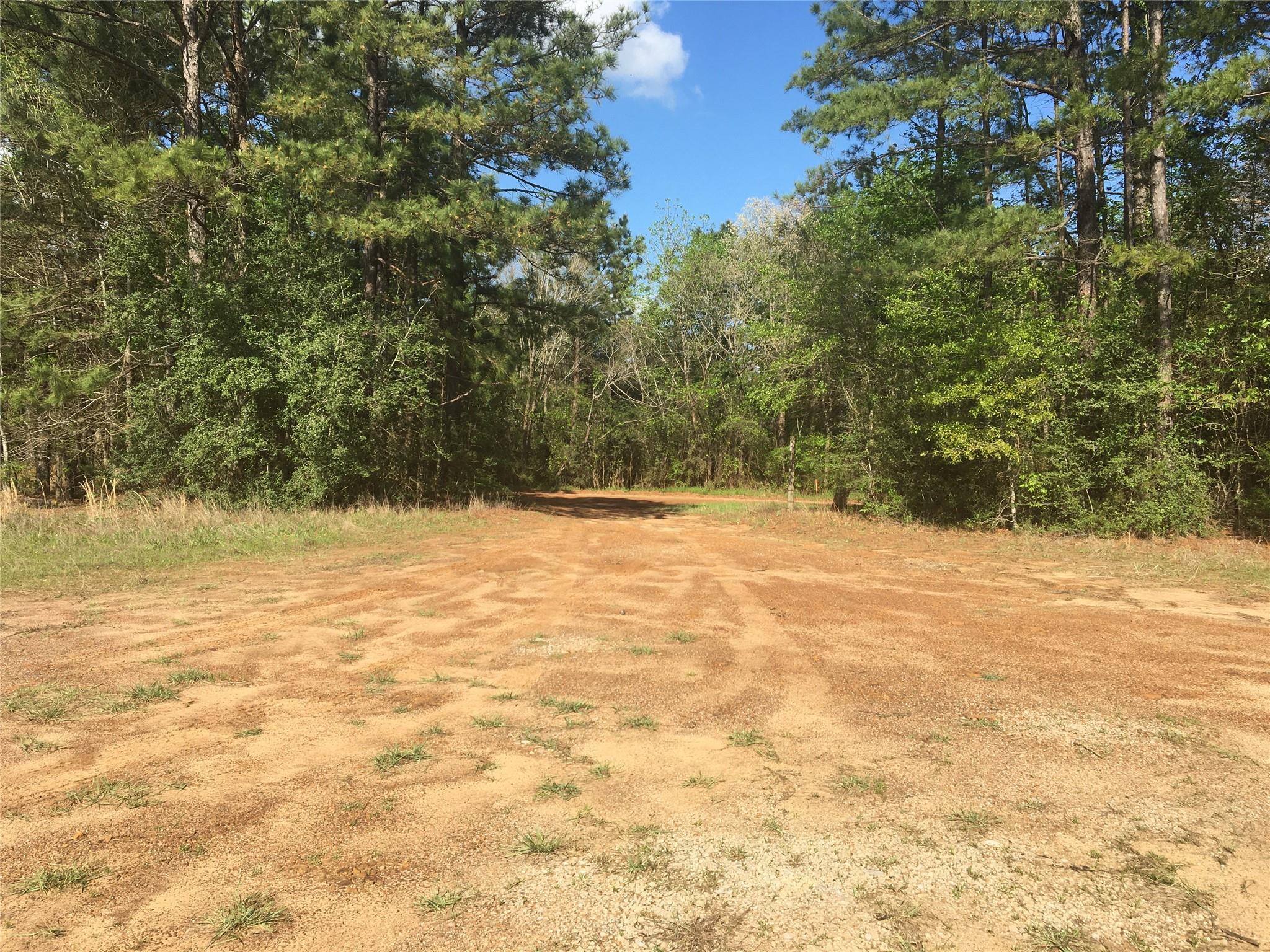 Lot 15 County Road 175