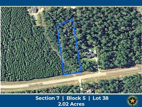 15769 Wood Grove Way Willis TX 77378