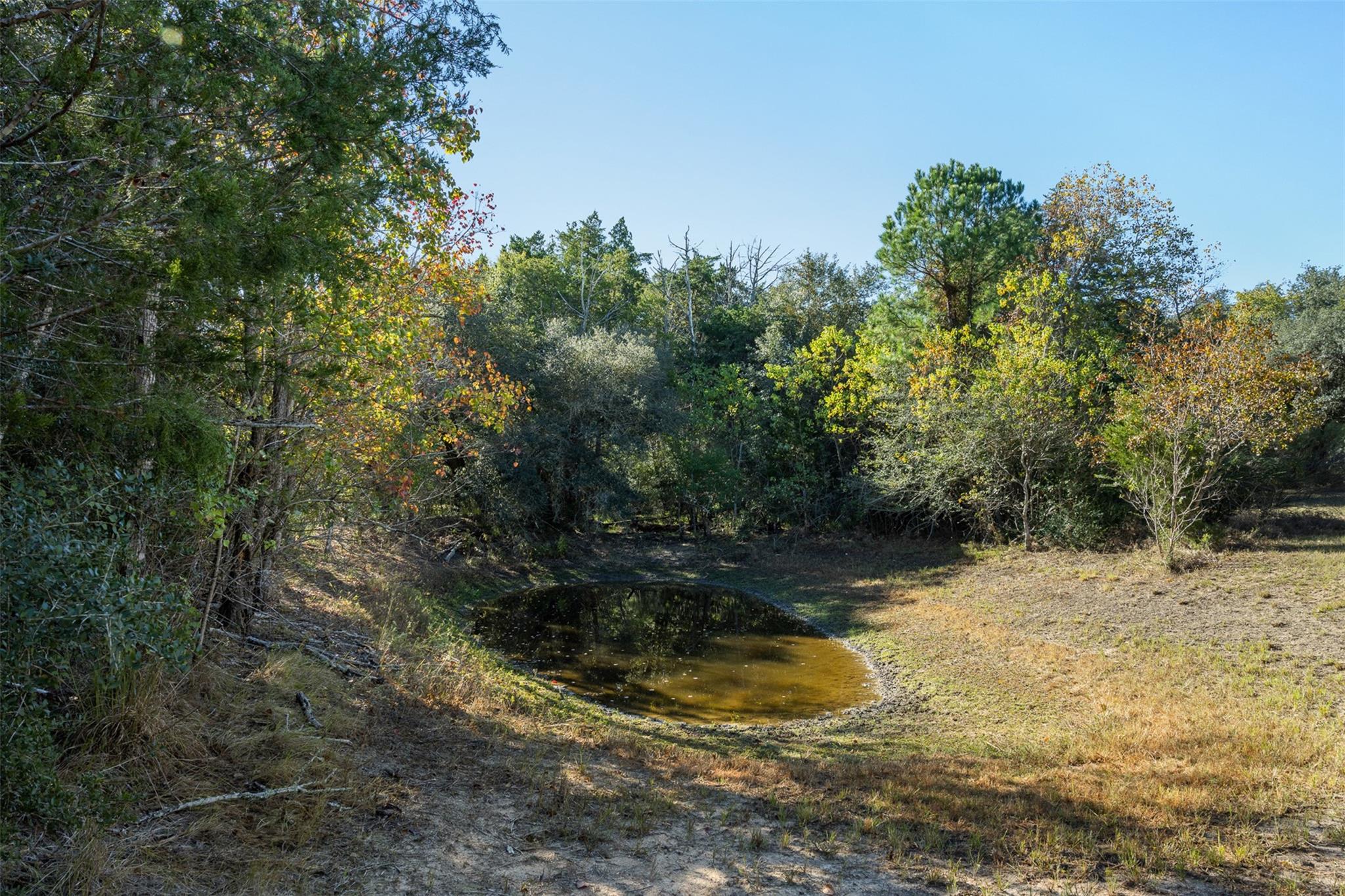 1045 Old New Ulm Road