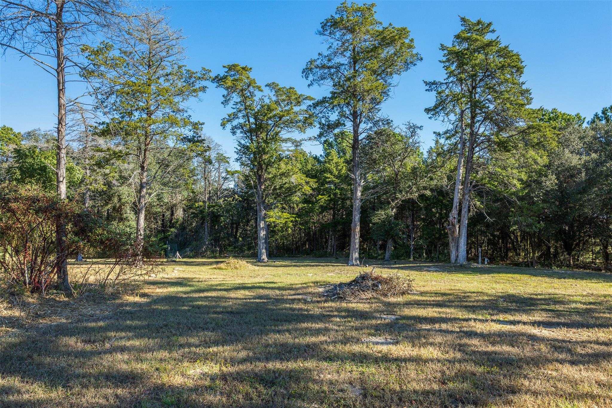 1045 Old New Ulm Road