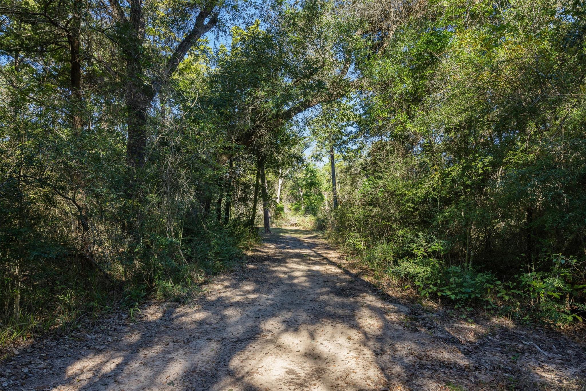 1045 Old New Ulm Road