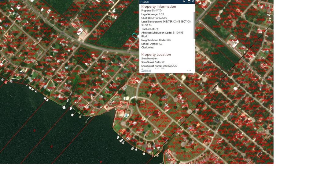 Photo of 145 W Sherwood Drive, Livingston, TX 77351 (MLS # 9445418)