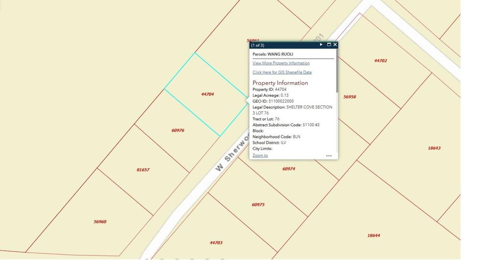 Photo of 145 W Sherwood Drive, Livingston, TX 77351 (MLS # 9445418)