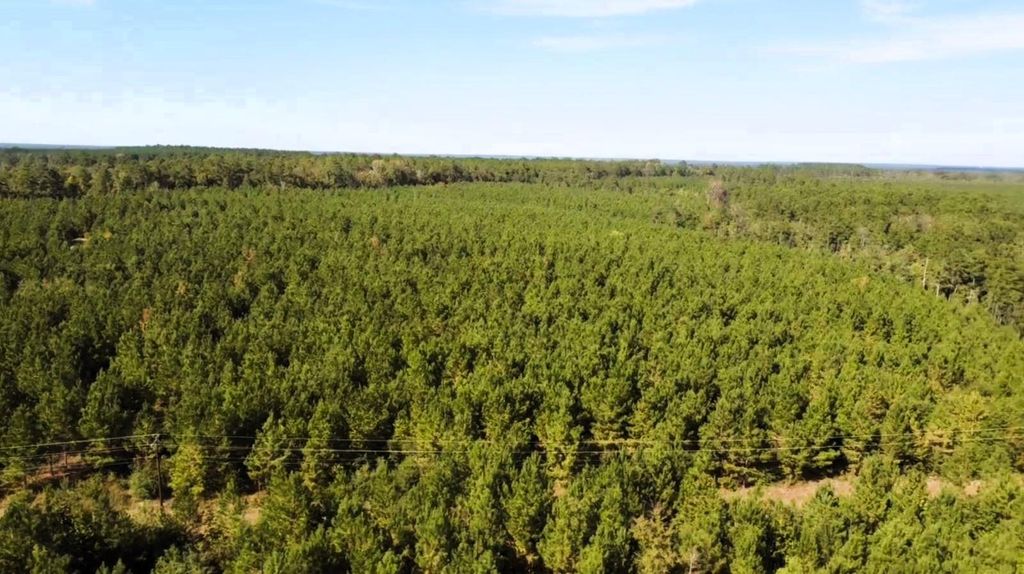Photo of 0 Us Highway 190 E, Livingston, TX 77351 (MLS # 81289506)