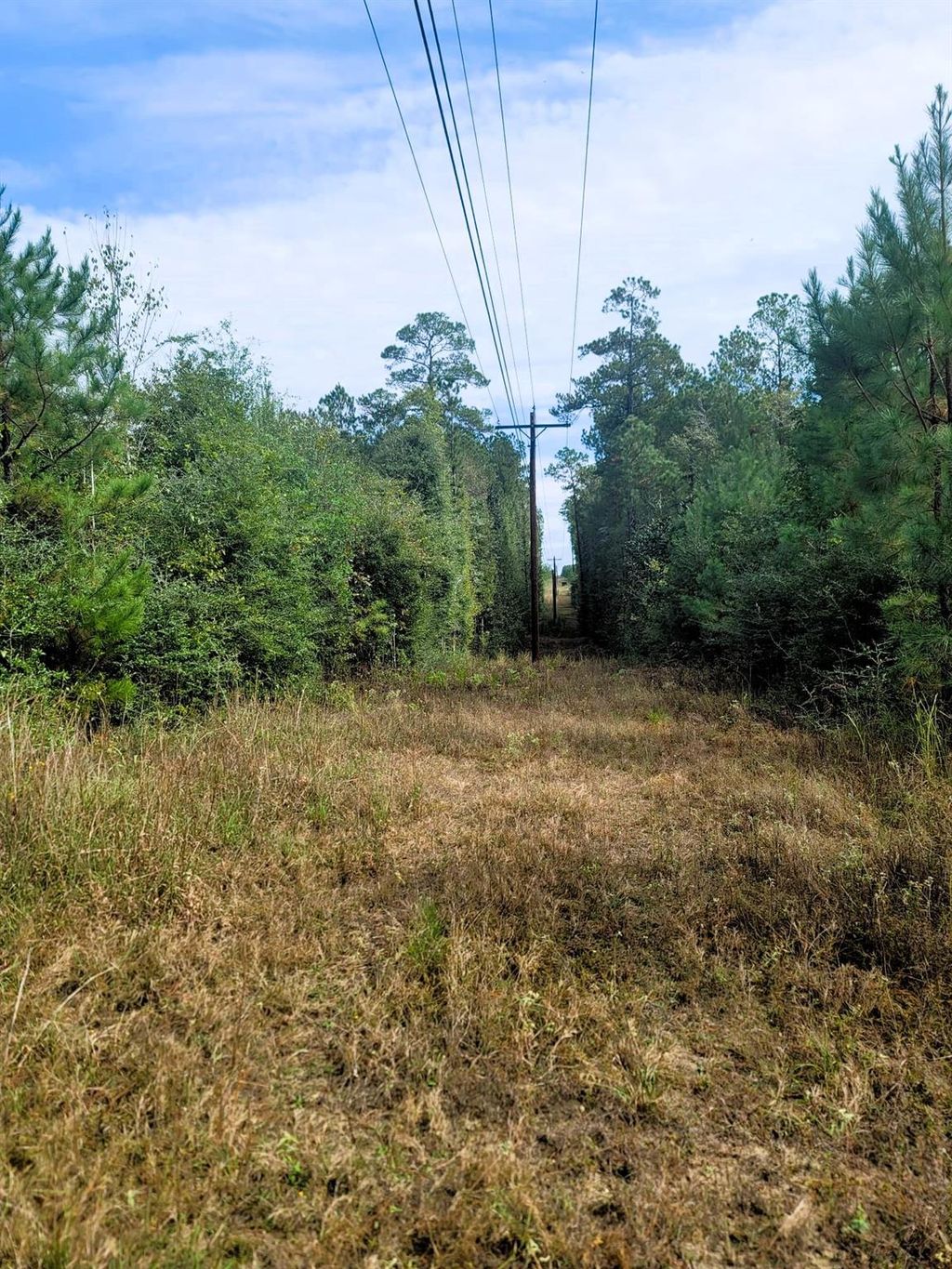 Photo of 0 Us Highway 190 E, Livingston, TX 77351 (MLS # 81289506)