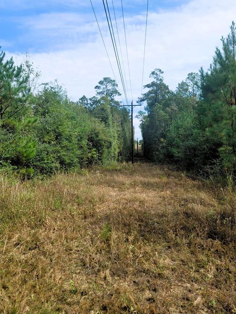 Photo of 0 Us Highway 190 E, Livingston, TX 77351 (MLS # 81289506)