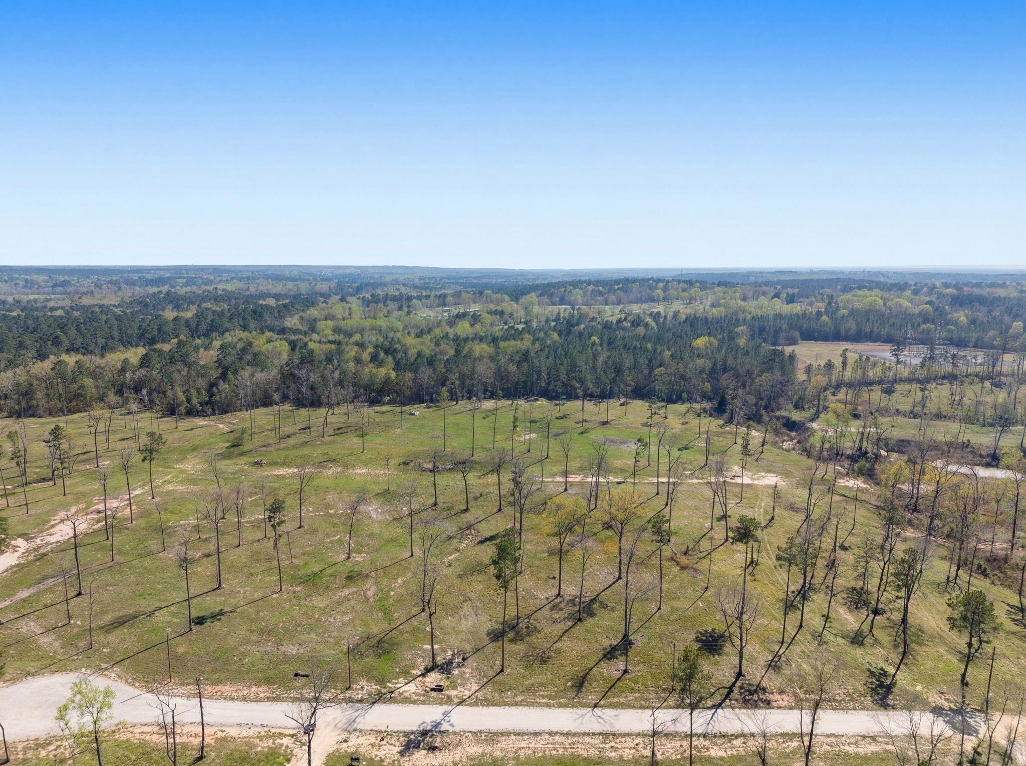 Lot 12 N Fm-350