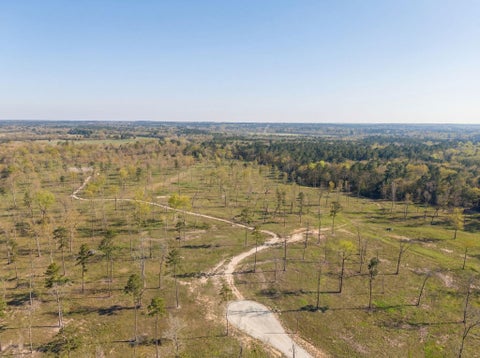 Photo of 12 N Fm-350, Livingston, TX 77351 (MLS # 40887300)