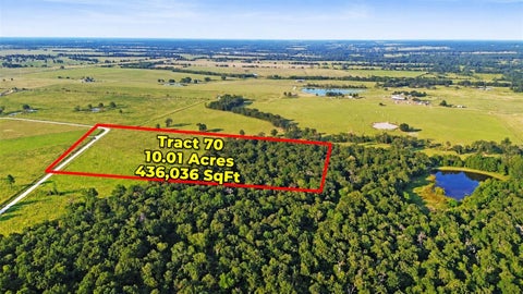 Vacant Land For Sale - 727 Buckhorn Creek Drive<br/> Houston County, Crockett, TX 75835