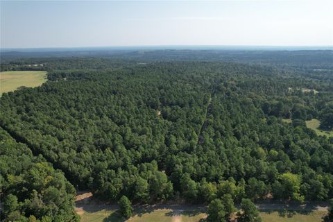 Photo of TBD An County Road 1220, Grapeland, TX 75844 (MLS # 12796887) Photo of TBD An County Road 1220, Grapeland, TX 75844 (MLS # 12796887)