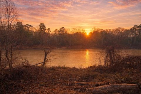 Vacant Land For Sale - 274 County Road 3945<br/> Tyler County, Colmesneil, TX 75938