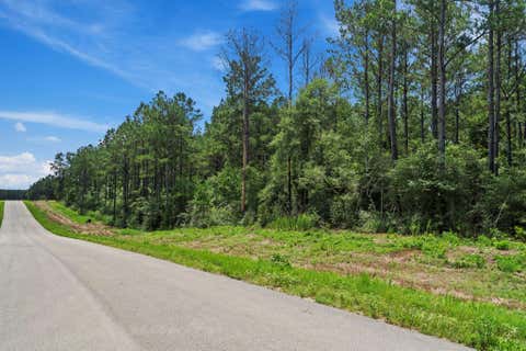 Photo of 16303 Golden Wood Court, Willis, TX 77378 (MLS # 20737427)