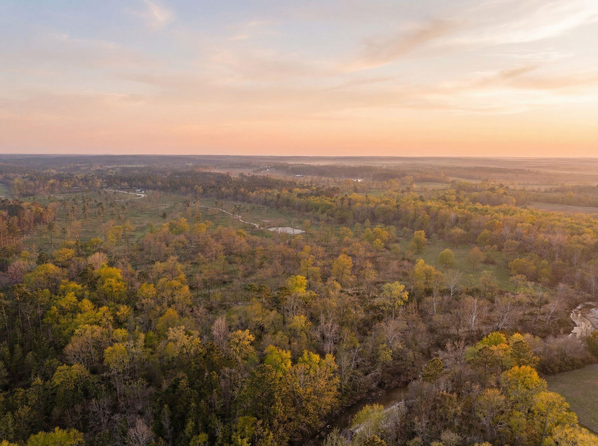 Lot 13 N Fm 350