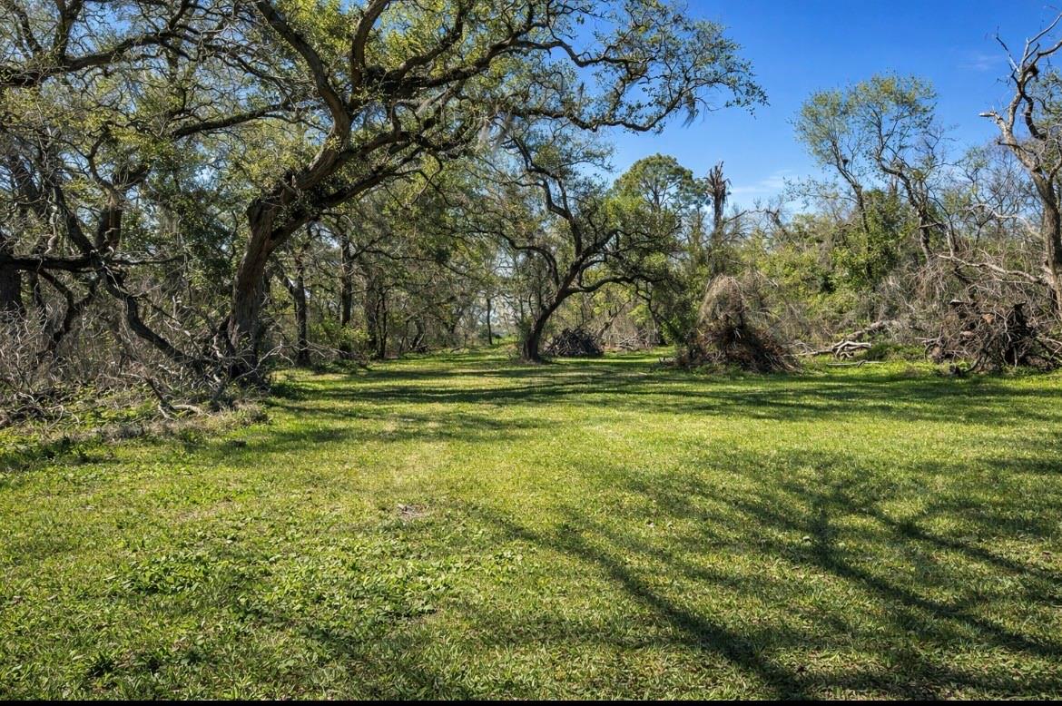342 Bluebonnet Drive
