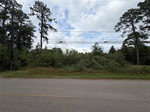 Photo of 318 Elk Drive, Crosby, TX 77532 (MLS # 9509388)