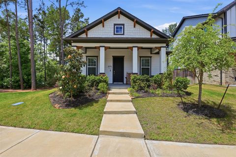 Photo of 523 Knolly Street, Montgomery, TX 77316 (MLS # 84656650)