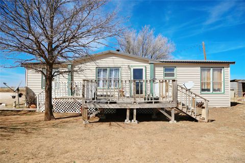 Homes For Sale - 11514 County Road 6360<br/> Lubbock County, Shallowater, TX 79363