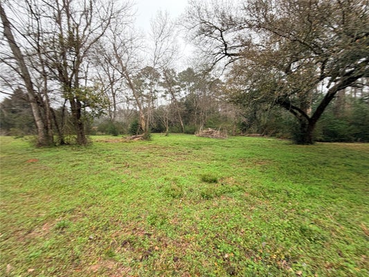 304 N WHEELER RD, COLMESNEIL, TX 75938 - Image b4e017126ee709815b7d8e91a7e11213/24055088