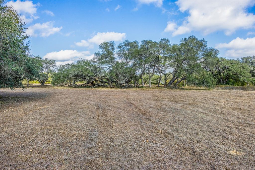 Photo of 0 Shorebird Lane, Columbus, TX 78934 (MLS # 33018201)