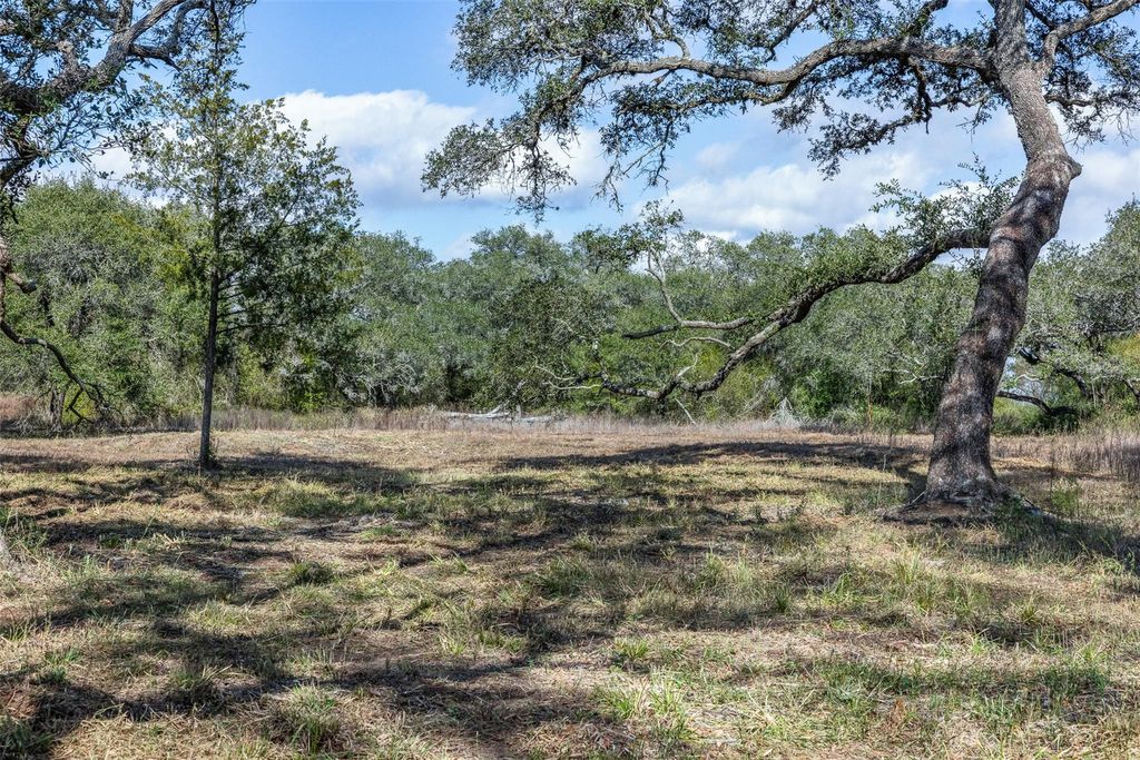 Photo of 0 Shorebird Lane, Columbus, TX 78934 (MLS # 33018201)