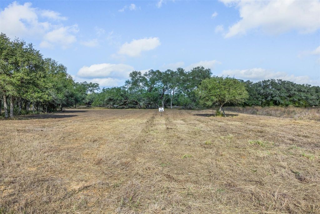 Photo of 0 Shorebird Lane, Columbus, TX 78934 (MLS # 33018201)
