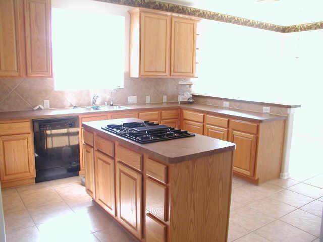 515 Silver Leaf Court