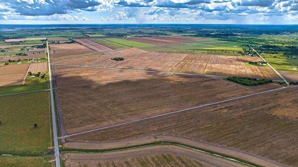 134 COUNTY RD 15, DAMON, TX 77430 - Image b505d64329ec56eec1eb39ca326cd0a4/720824257