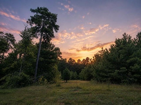 Photo of 15881 Wood Grove Way, Willis, TX 77378 (MLS # 8493985)