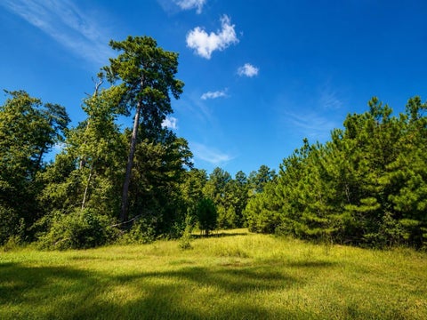 Photo of 15881 Wood Grove Way, Willis, TX 77378 (MLS # 8493985)