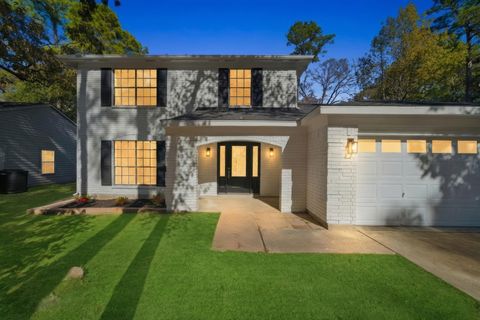 22 Cricket Hollow Place Spring TX 77381