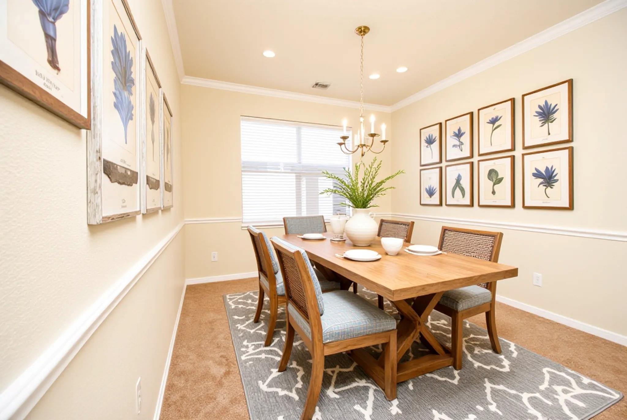 17215 Shallow Lake Lane