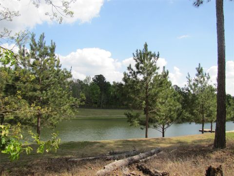 6919 Texas Trace Montgomery TX 77316