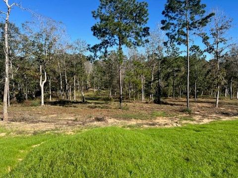 Photo of 29 Addison Rd, Livingston, TX 77351 (MLS # 94232672)