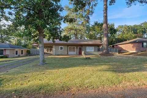 Photo of 806 Newsom Avenue, Lufkin, TX 75904 (MLS # 19916927)