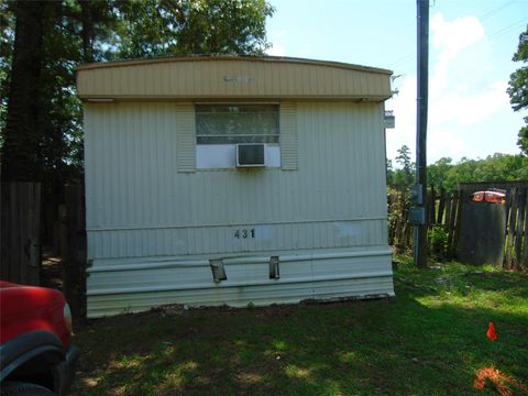 Photo of 431 Terlingua Street, Livingston, TX 77351 (MLS # 65100289)