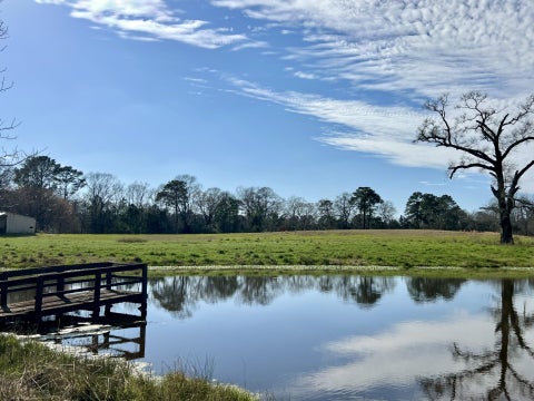 Vacant Land For Sale - 2290 Interstate 45 S<br/> Walker County, New Waverly, TX 77358