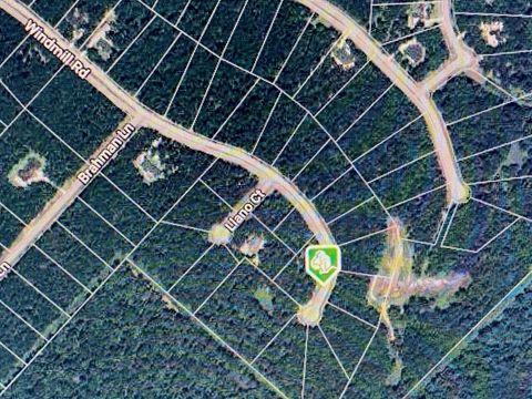 Photo of 228 Windmill Road, New Waverly, TX 77358 (MLS # 82902215)