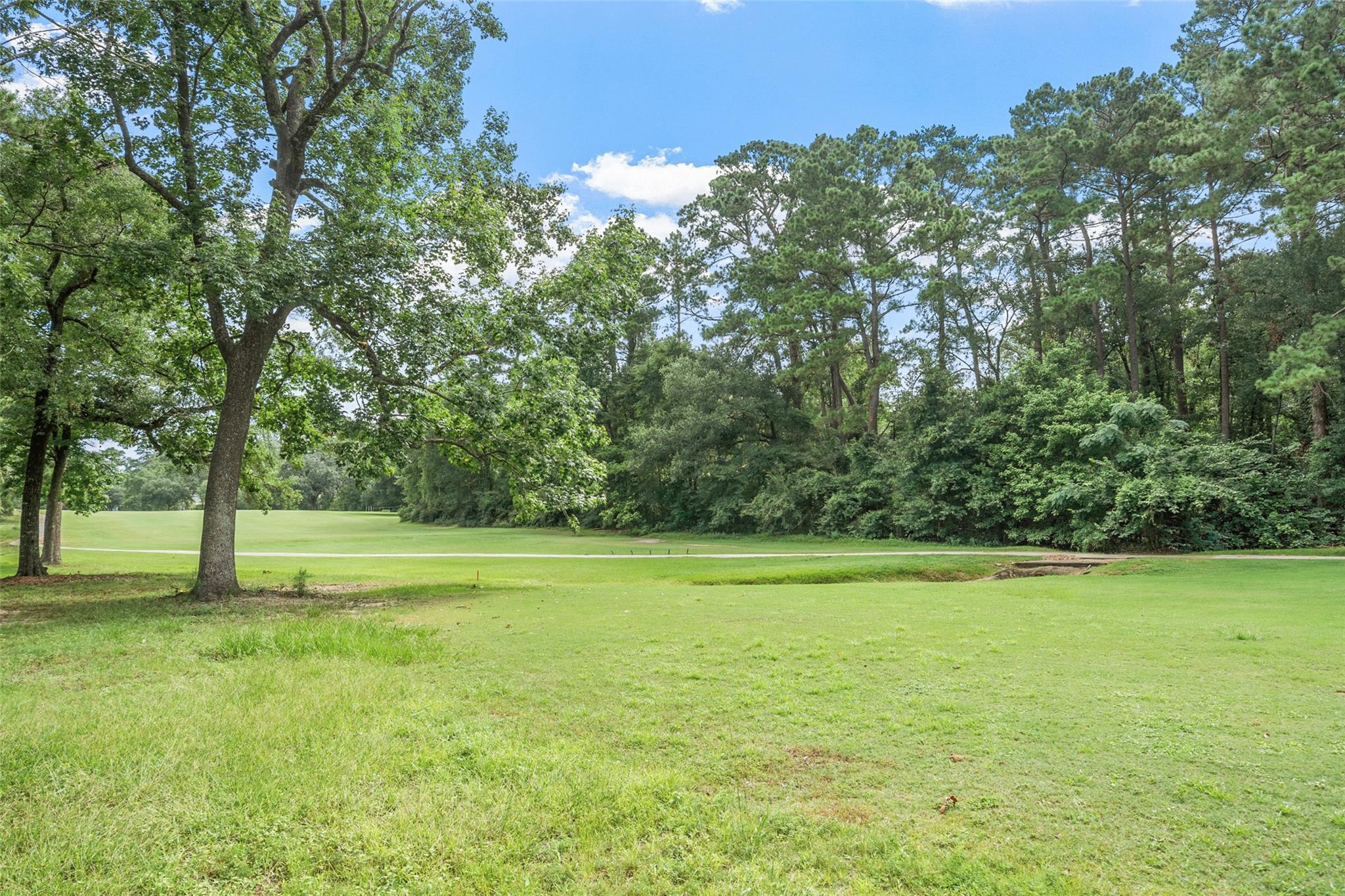 118 Sun City Lane