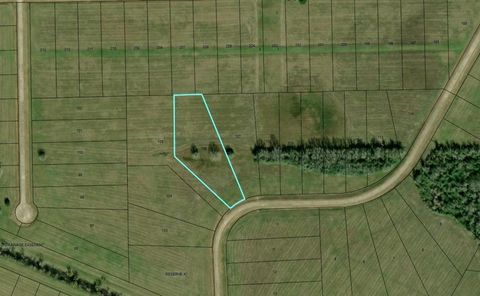 Photo of 498 Brahman Trail, Angleton, TX 77515 (MLS # 15668019)
