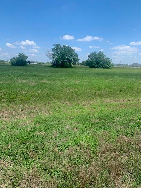 498 Brahman Trail