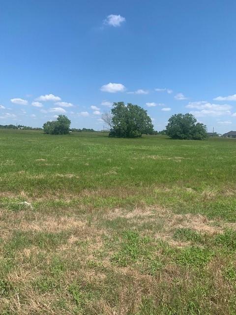 498 Brahman Trail