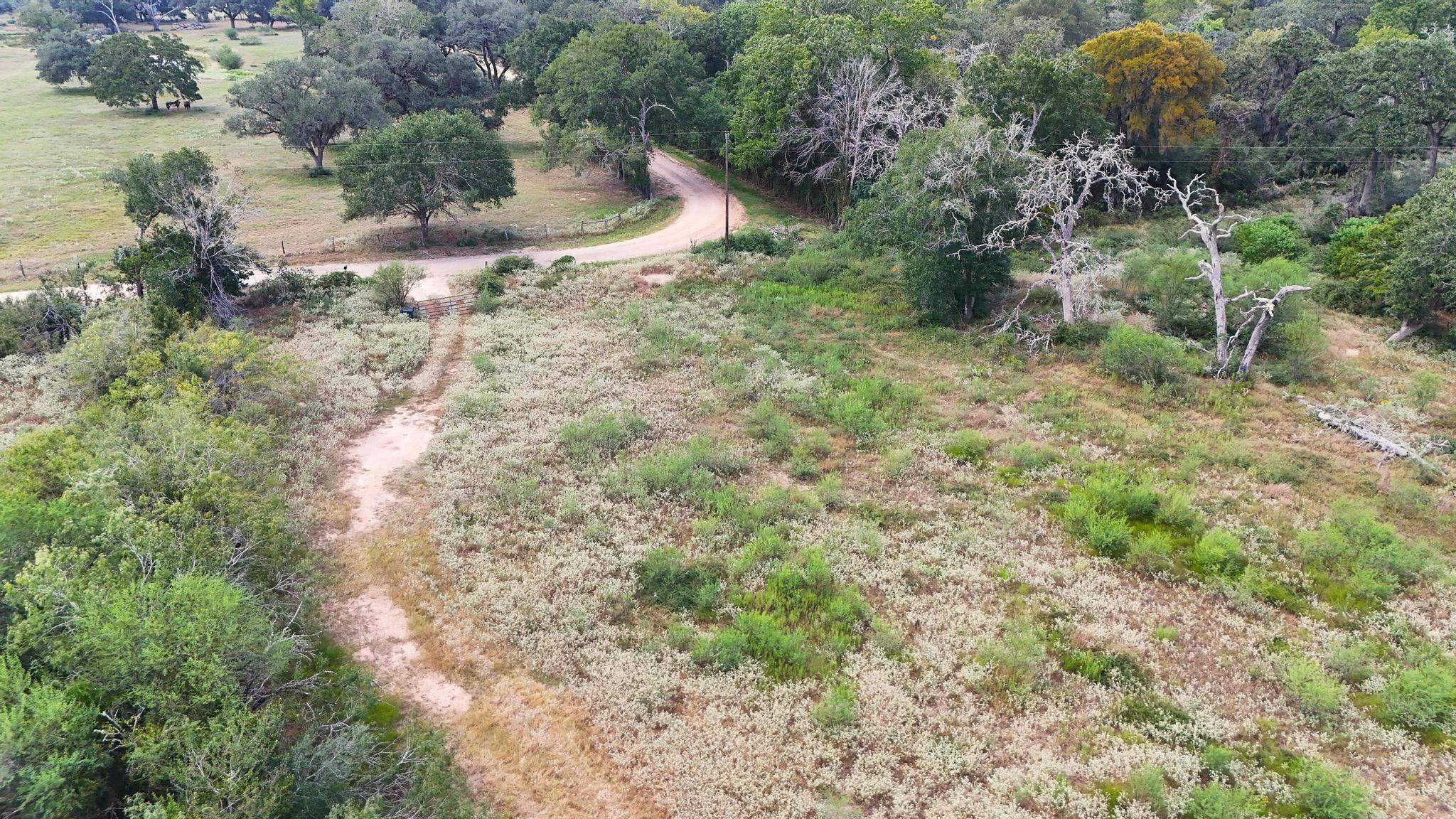 1387 County Road 221