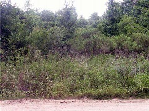 0 County Road 2926 Cleveland TX 77327