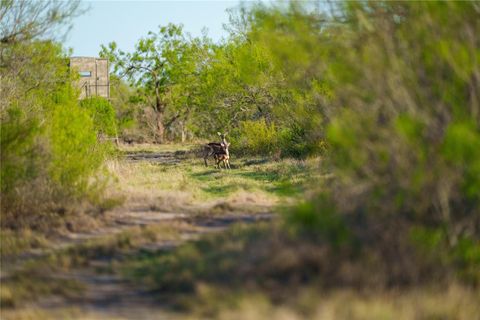 Vacant Land For Sale - 12355 Texas 131<br/> Kinney County, Brackettville, TX 78832