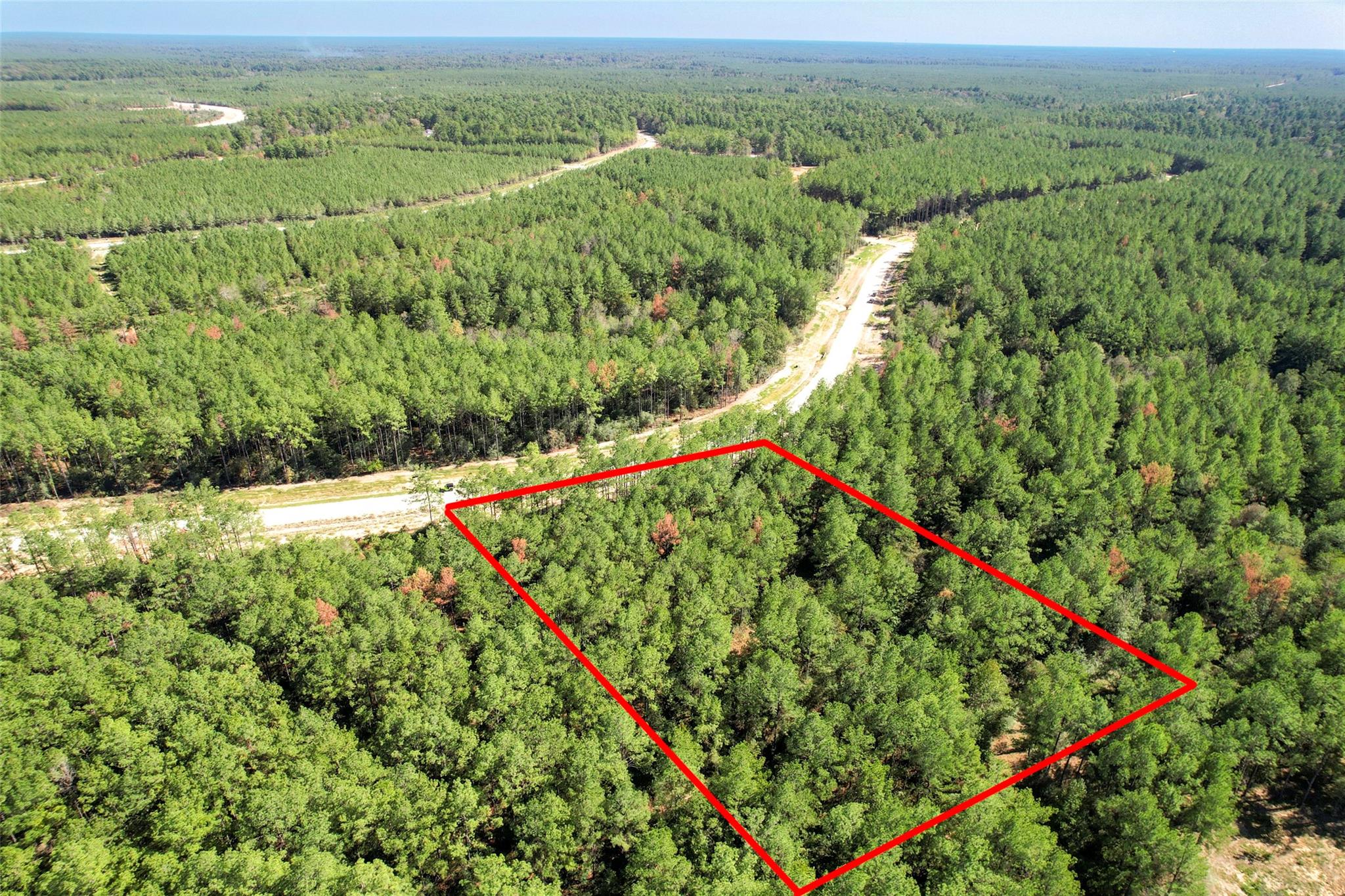 15409 Forest Grove Drive