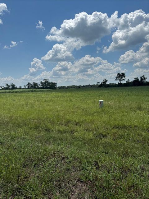 Photo of 0 Apache Tr Trail, Angleton, TX 77515 (MLS # 24405186)
