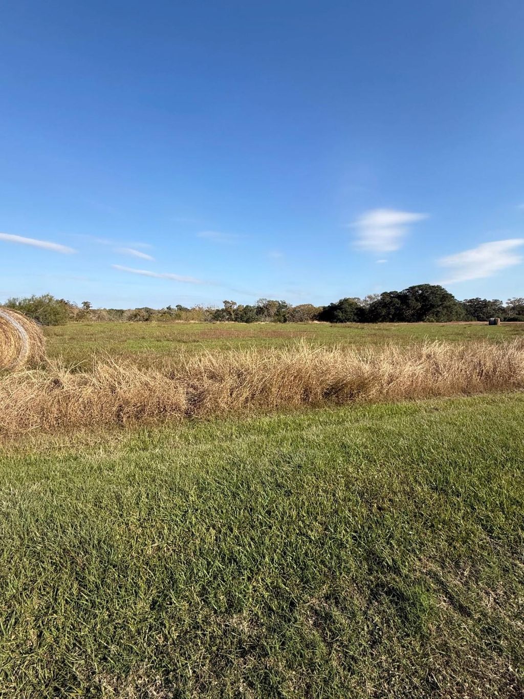 Photo of 0 River Hollow Way, Blessing, TX 77419 (MLS # 38539063)